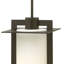Colfax 1 -Bulb 18.8" H Mains only Outdoor Hanging Lantern-1397779161-1397779160