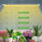 JESLED 20 Watt Grow Light