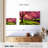 Harnek Cherry Blossom Garden-107681054