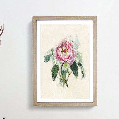 Illustration of a Pink Peony - Picture Frame Painting Print