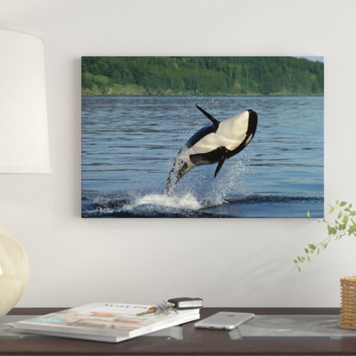 Orca Breaching, Inside Passage, Alaska by Gerry Ellis - Wrapped Canvas Gallery-Wrapped Canvas Giclée