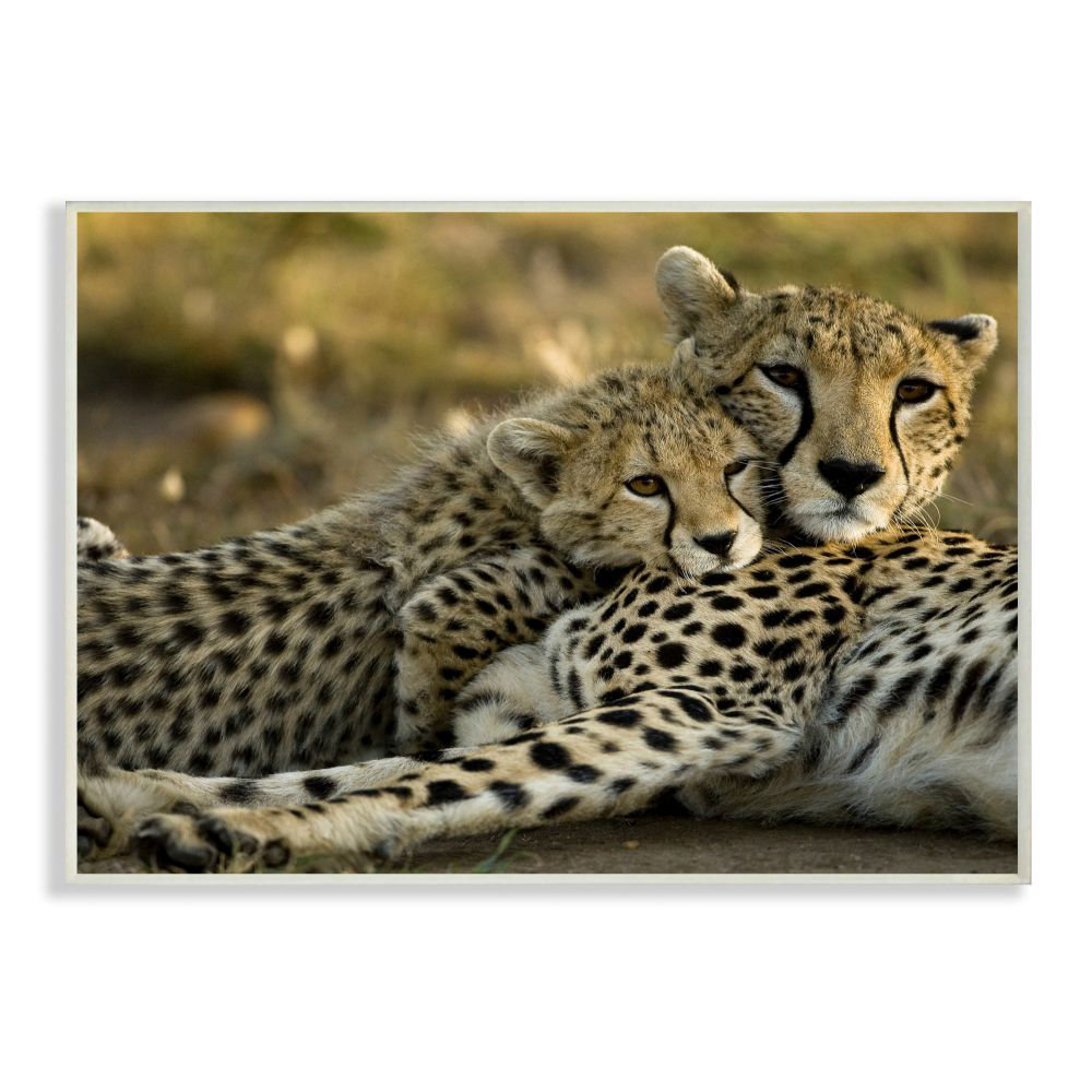 Cheetah Family Mother With Cub by Joe Mcdonald / © Danitadelimont.Com - Photograph Print Winston Porter 