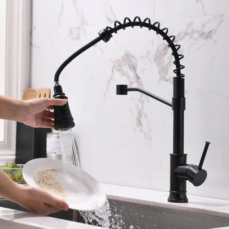 Robinet de cuisine avec douchette extractible et robinets d'évier de cuisine à poignée simple en acier inoxydable noir