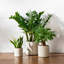 Ceramic Pot Planter