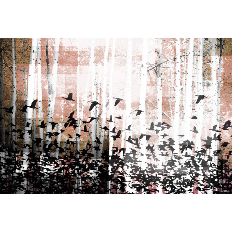 Parvez Taj - Wrapped Canvas Print, 76cm H x 114cm W