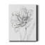 Tulipe, croquis - impression sur toile tendue-766062067