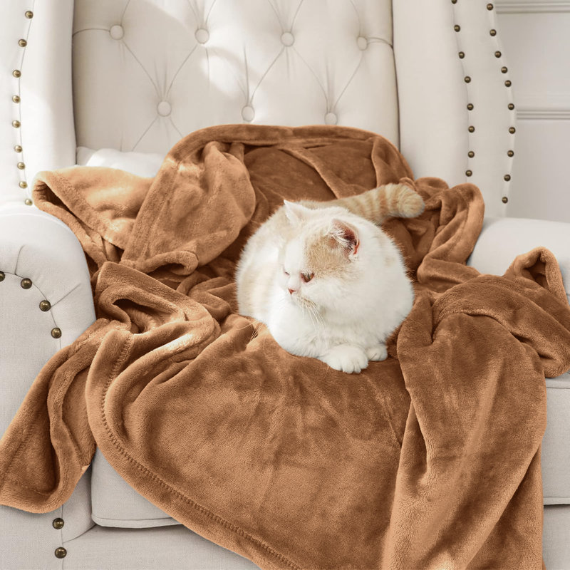Couverture simple en molleton 300 g / m² - Couverture douce pour lit simple toutes saisons, Lit simple, Chameau