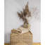 Adlay Striped Area Rug-1652489086