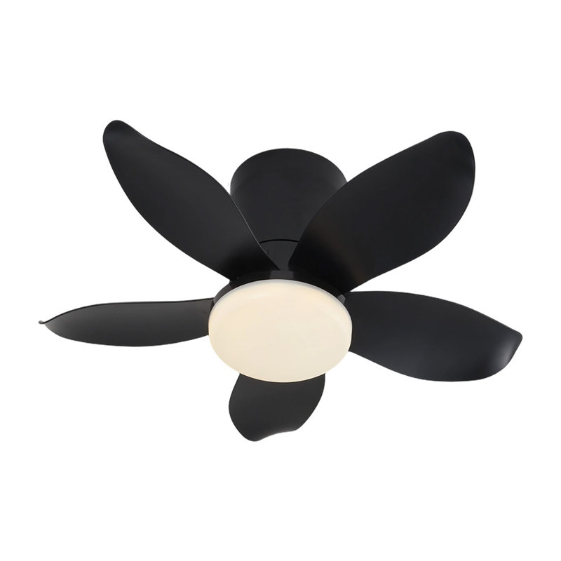 Ceiling Fan with LED Lights, Black