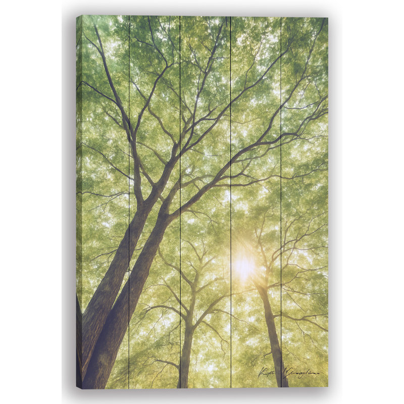 Impression sur toile Golden Sun, H 48 po x l 36 po