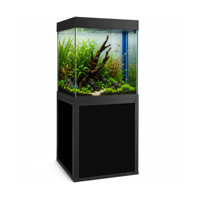 Aquarium rectangulaire Yohan 40 gallons