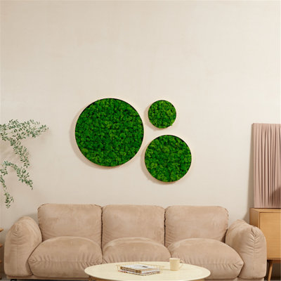  Art mural rond 18 po - Mousse de renne préservée dans un cadre en fer, décor naturel moyen (18,1 x 18,1 x 2 po) - seulement le papier moyen