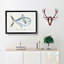 Illustration of a Rays Bream Fish by F.E. Clarke - Picture Frame Graphic Art Print-55579716-55579719