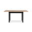 Alduina Extendable Dining Table-230812693