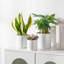 ZTHPOT Ceramic Pot Planter-865196225