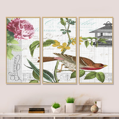 Birdwatchers Dream 2 - Cottage-Floral Framed Canvas Wall Art Set Of 3 -  Design Art, FL25407-3P-MA