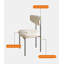 Nordic Carbon Steel Backrest Dining Chair