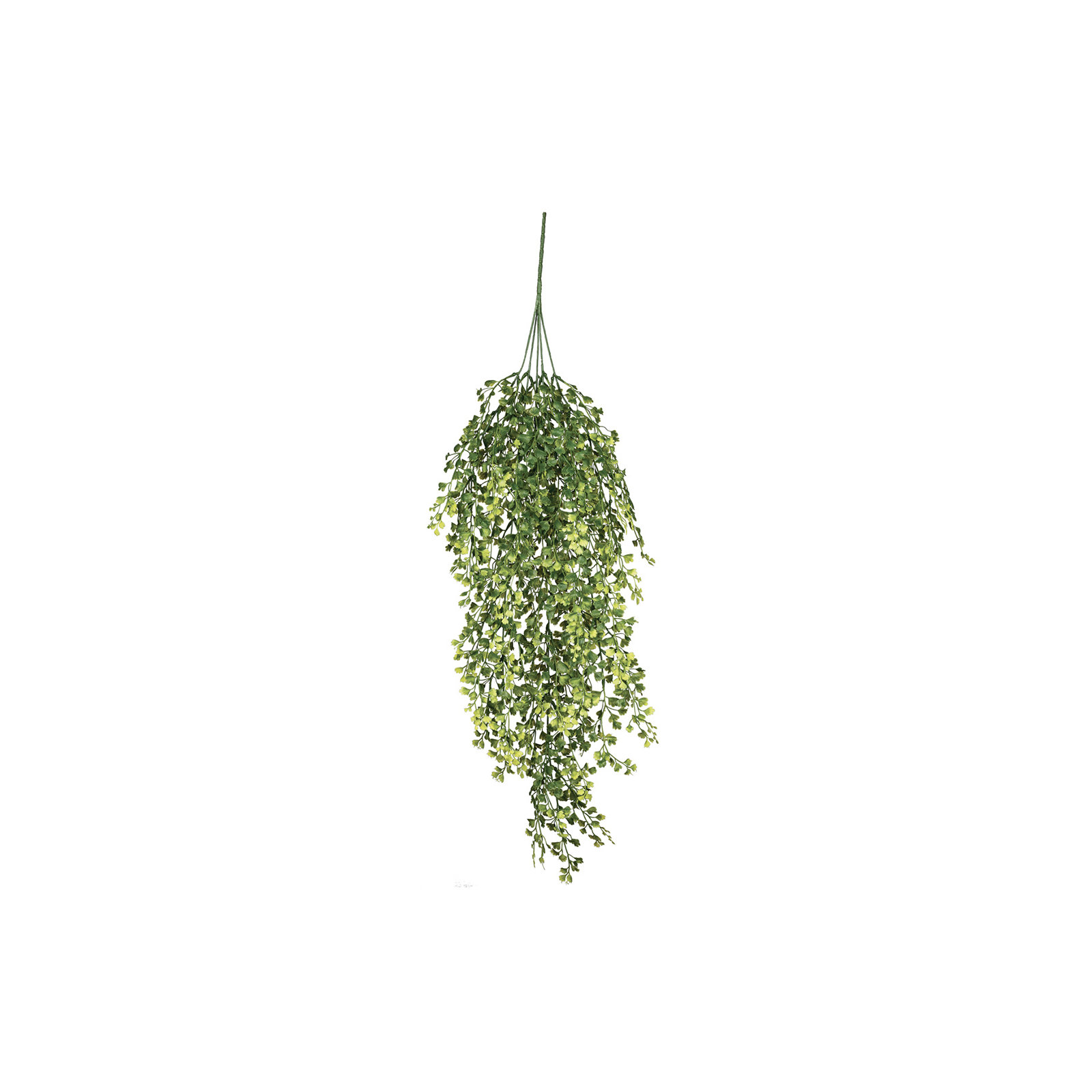 Maiden Hair Fern Spray