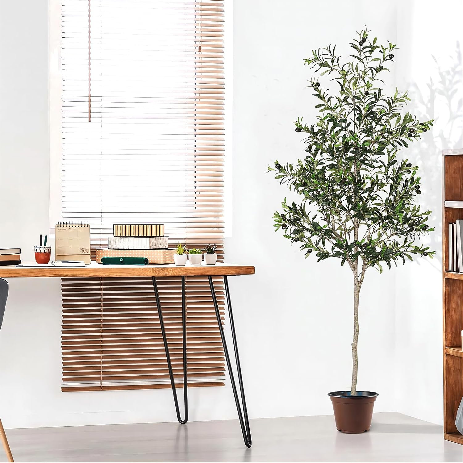 Aarav Olive Tree in Pot, 70" H x 29" W x 29" D