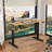 Oishee Electric Adjustable Standing Desk-1698230358-1704339706