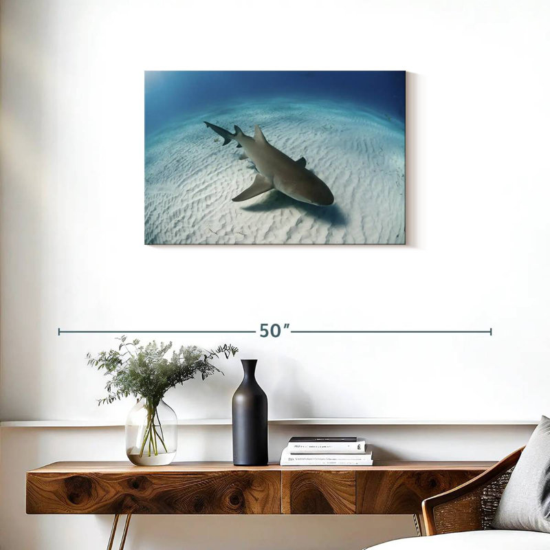Brampt Lemon Shark Over The Seabed, 20" H x 30" W