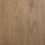 Tolle Bookcase-2070695372