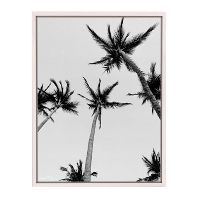 Palm Trees and 80 Degrees Framed Photographic Print Canvas