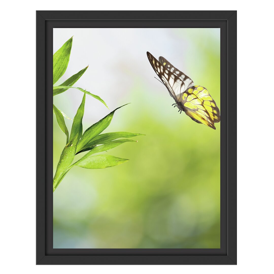 Gerahmtes Wandbild Bambus mit Schmetterling