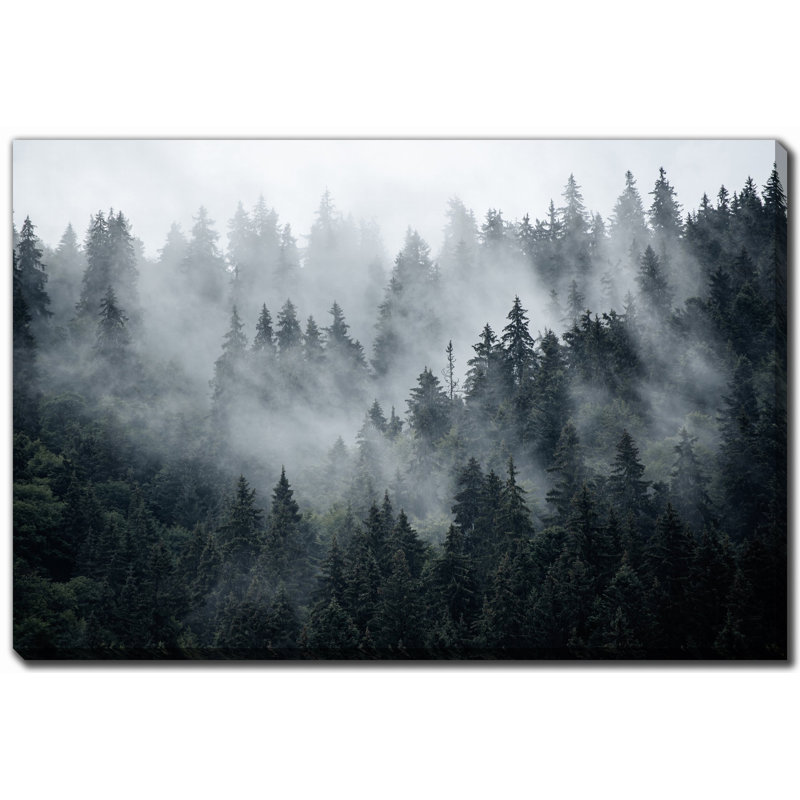 «Misty Foggy Fir Forest», art sur toile, H 22 po x l 28 po