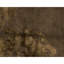 Hand Knotted Area Rug in Walnut