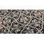 Wool Oriental Area Rug