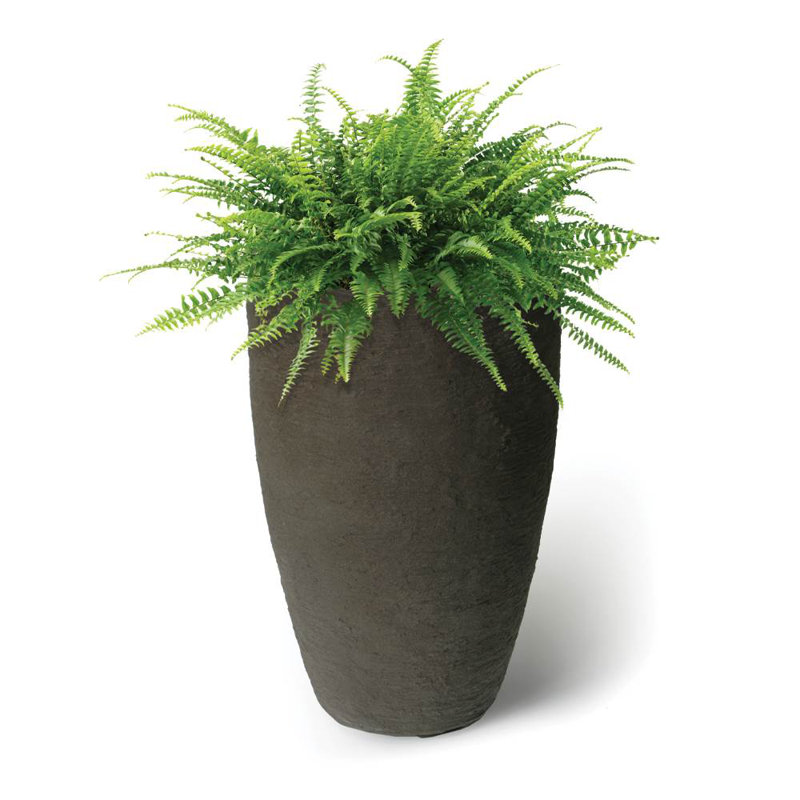 Callan Tall Double Walled Pot Planter, Brownstone, 28.5" H x 17.5" W x 17.5" D