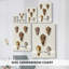 Collection Cone Shell VI - Cavas enveloppés de galerie-1331498834