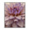 Art de pétales de dahlia mauves par Alonzo Saunders bg-077