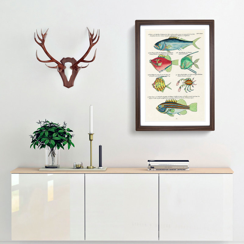 East Indies Fish & Crab Illustrations XXVI by Louis Renard - Picture Frame Painting Print, 48cm H x 36cm W x 2cm D