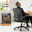 Office Chair-2092015230