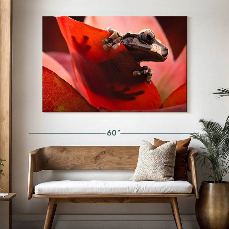 Brampt Amazon Tree Frog, 34" H x 51" W