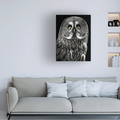 Art sur toile Lee Kershaw Owl Stare