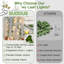 Vigne avec guirlandes lumineuses enfichables, guirlande de 100 lumières lierre à DEL de 33 pi pouvant être connectées à une télécommande, lampe pour chambre à coucher, chambre, mur, jardin, fête, dortoir de mariage (blanc chaud)
