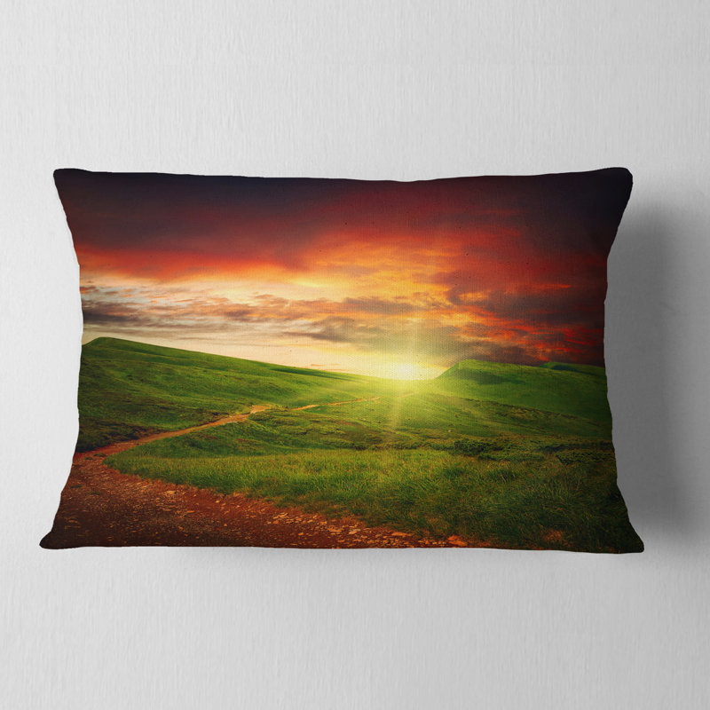 Coussin décoratif Schafer