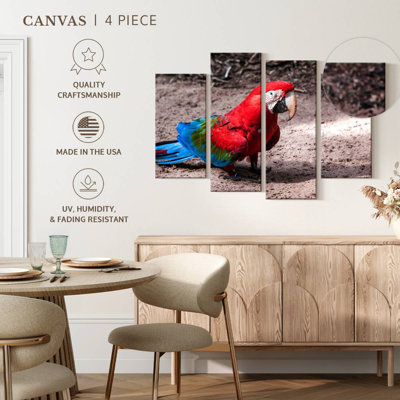 Brazilian Red Macaw