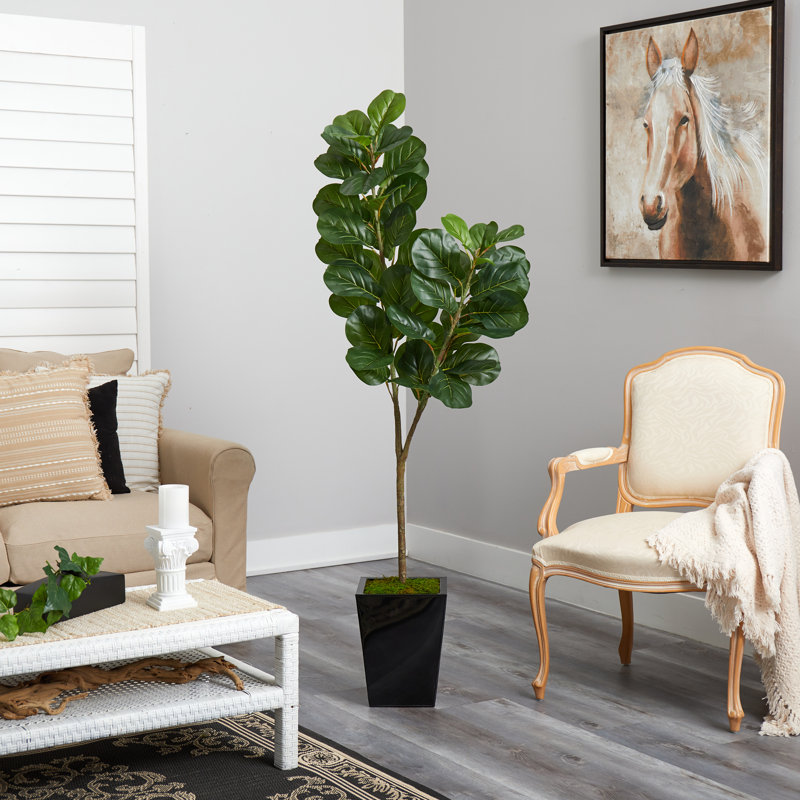 Faux Fiddle Leaf Fig Tree, Black, 68" H x 21" W x 16" D