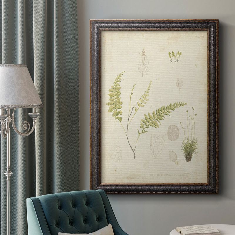 Toile encadrée de qualité supérieure Fern Study IV - prête à être accrochée, H 20 po x l 16 po x P 2,5 po
