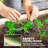 4.9' X 2' X 1' Galvanized Raised Garden Bed Kit, Metal Planter Box With Safety Edging, Cream-822537588-822537587