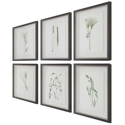  Forest Finds Framed Prints Set/6