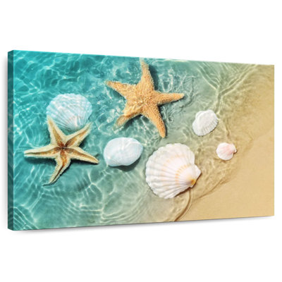 Alvord Seaside Starfish And Shells