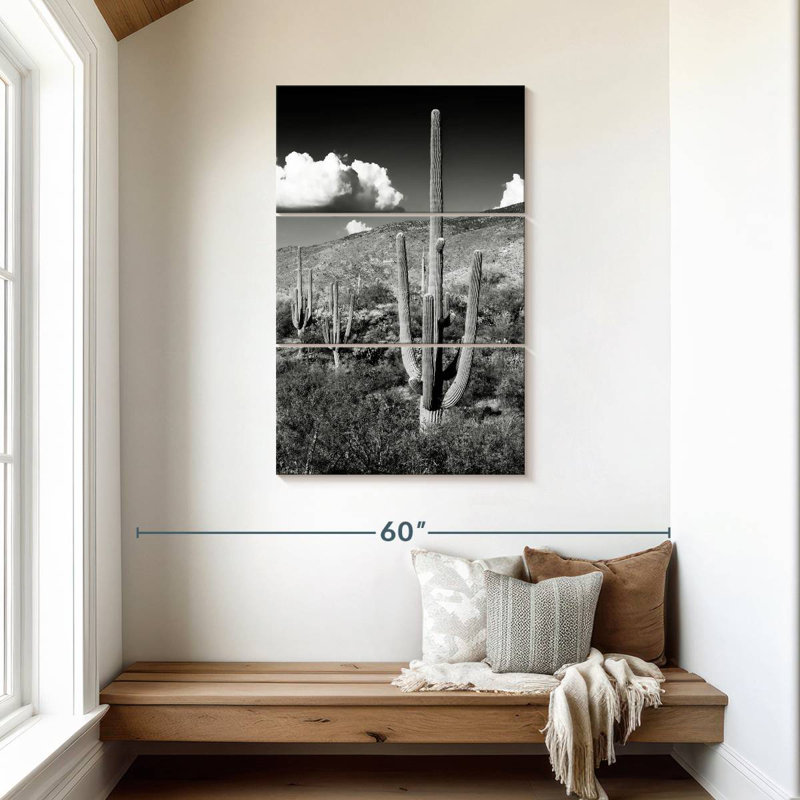 Harnek - Arizona noir - Saguaro Cactus Valley, H 45 po x l 28 po