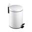 Steel Step On Kitchen Trash Can - 3L-10446126