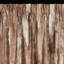 Andrika Blackout Curtain Single Panel