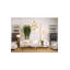 Cona 20 - Light Chandelier